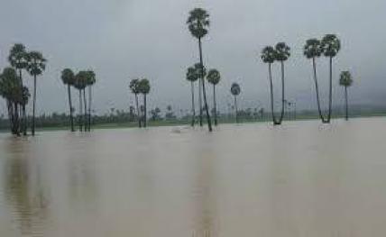 Heavey rains in Andhra20131126152942_l